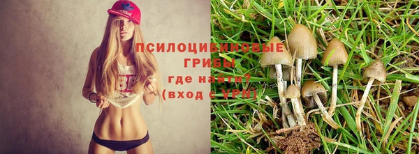 ALPHA PVP Горнозаводск