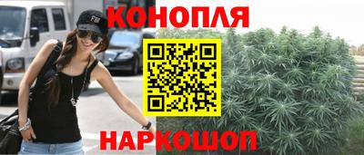 сатива Краснодар