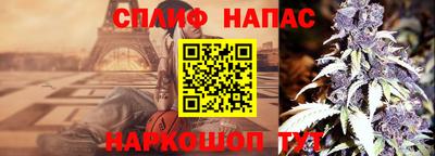 сатива Краснодар