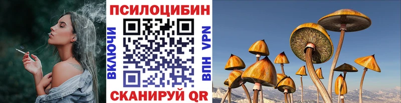 Псилоцибиновые грибы мицелий Наро-Фоминск