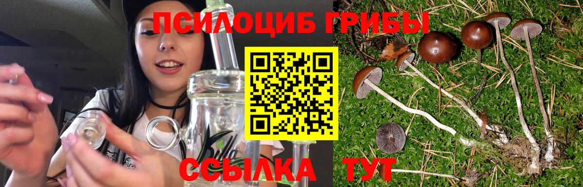 Псилоцибиновые грибы GOLDEN TEACHER Наро-Фоминск