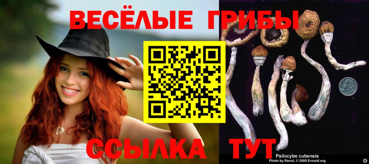 Наро-Фоминск  Псилоцибиновые грибы Magic Shrooms  Вход с VPN 